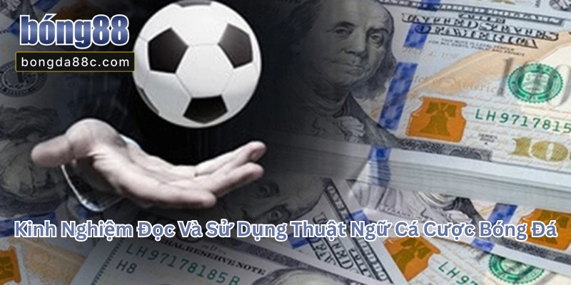 Thuật Ngữ Cá Cược Bóng Đ